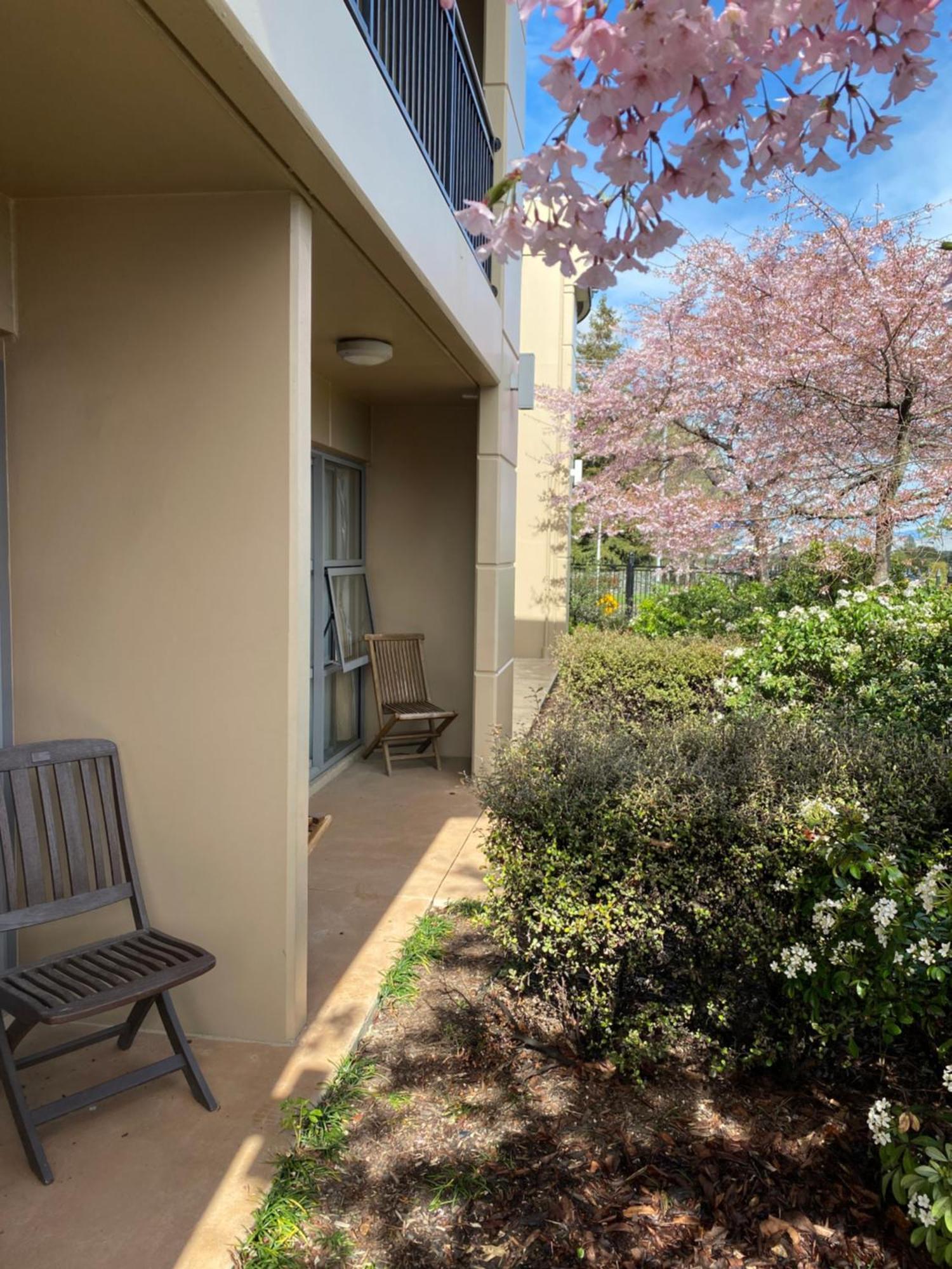 Motel Saxton 4*